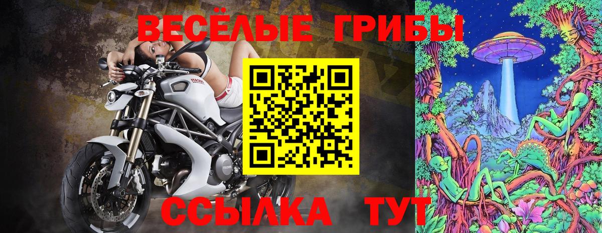 Псилоцибиновые грибы Psilocybine cubensis Фурманов